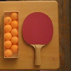 Two Ping Pong Paddles (one side red, the other purple on each) + 10 Orange Balls